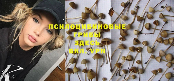 мет Балахна