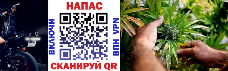 omg вход  Верхнеуральск  Марихуана гибрид 